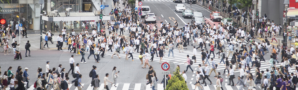 横断歩道